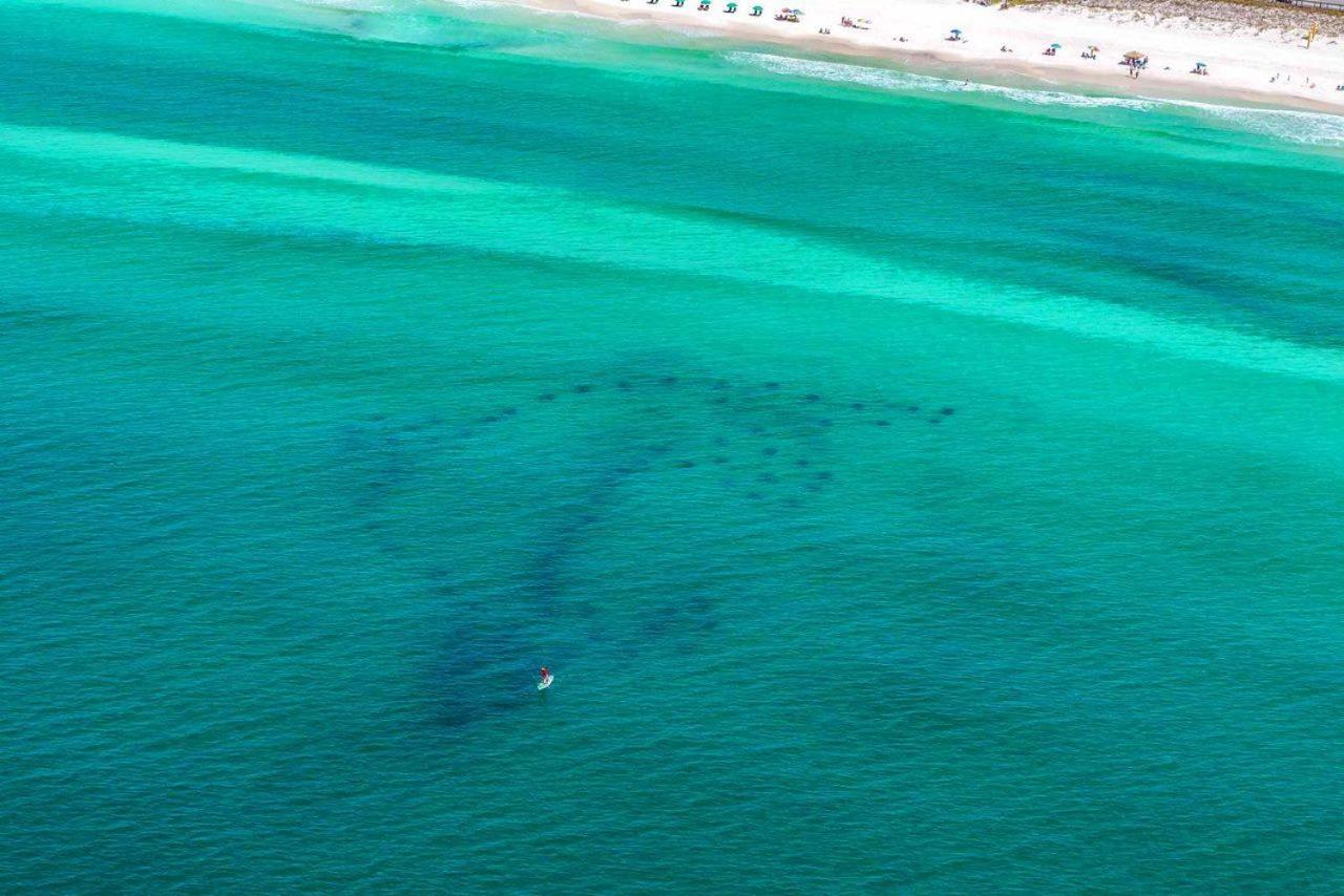 Stella Di Mare Villa Destin Kültér fotó